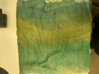 CS836/2024 GREEN FOULARD